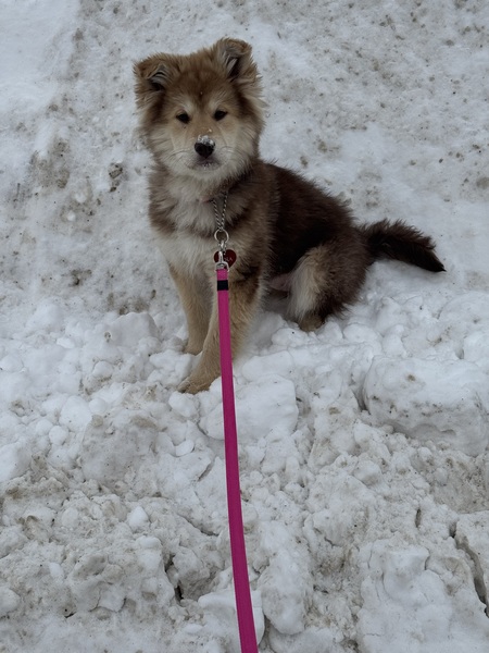 Nora 