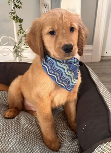 Milo