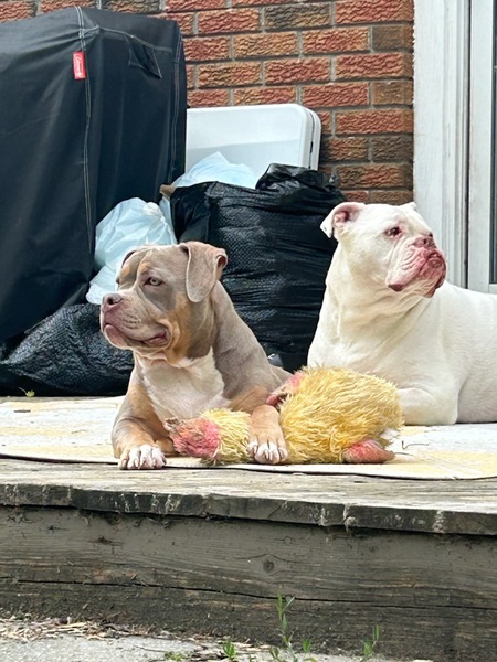 Blanche and Kashmir 