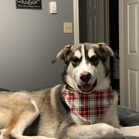 Hemi 