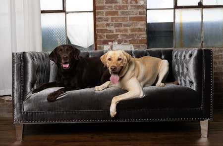 Remmy & Westley