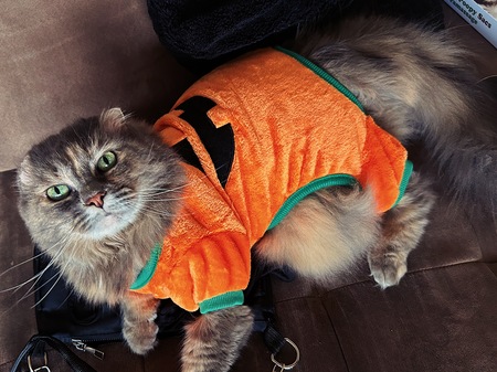 Binx 