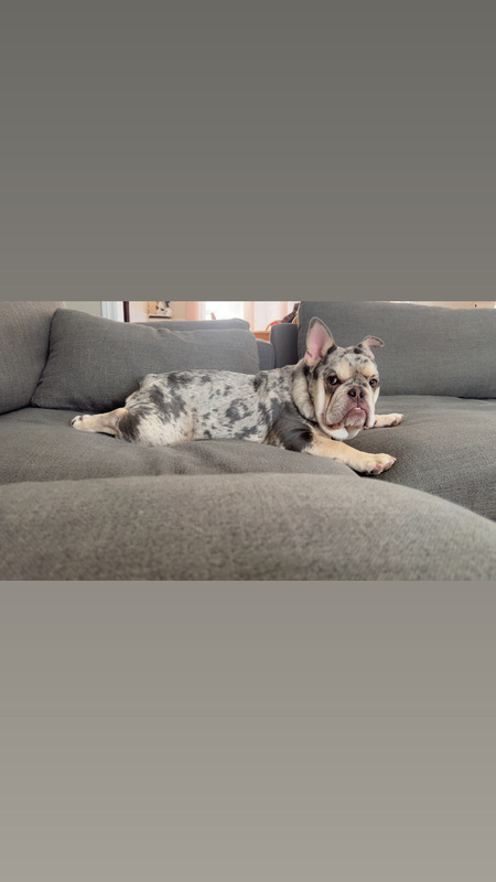 Bruce