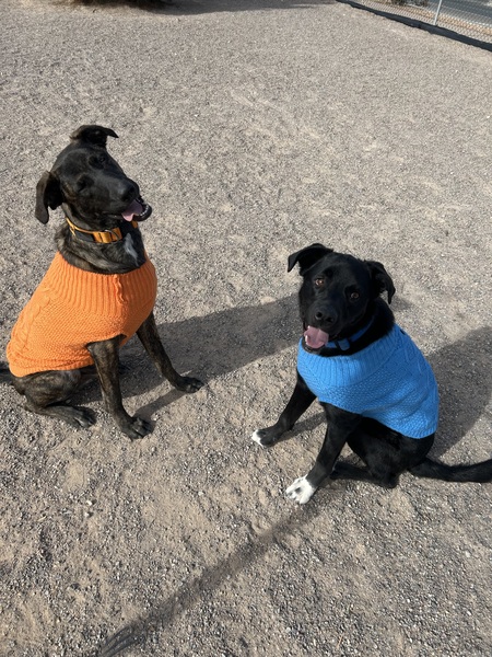 Odin and Gunner