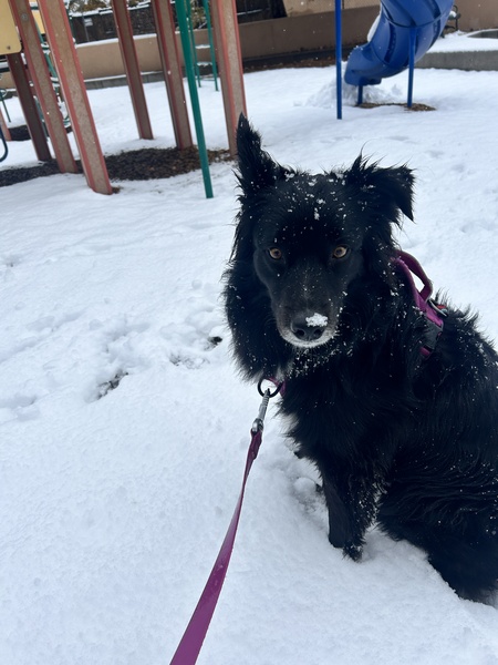 Zoey
