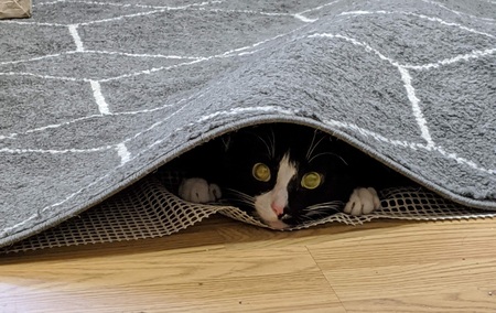Mr. Bond
