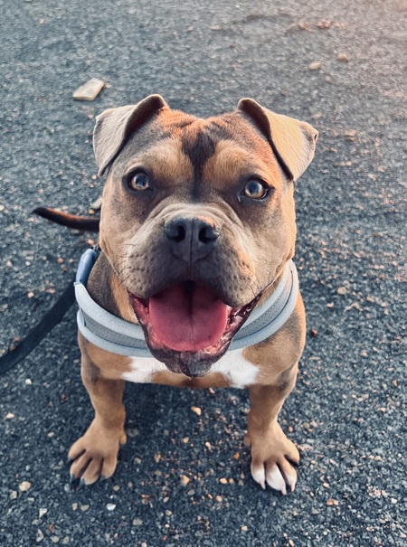 Chloe