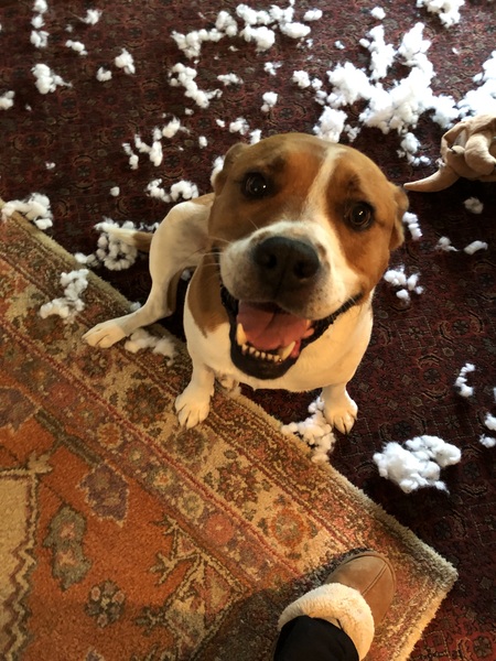 Buster