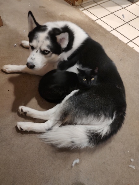 Luca and Jax