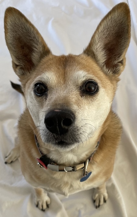 Winnie 