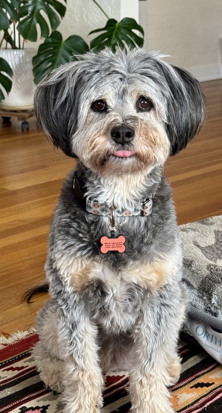 Lucy