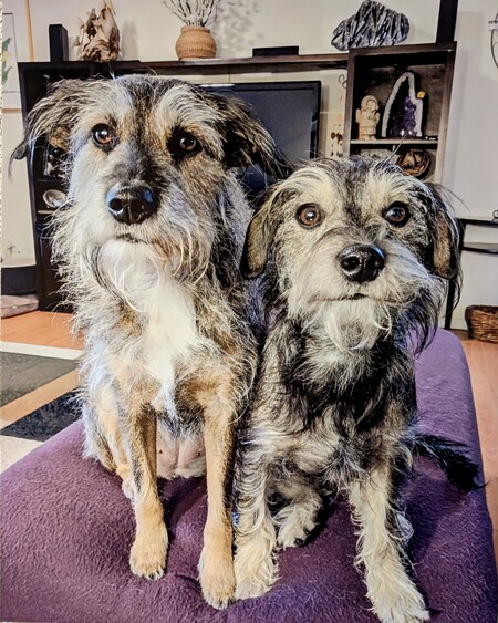 Dalí and Kahlo, Famous for Nose Art!