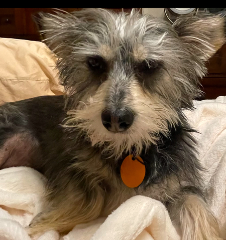 Odie R
