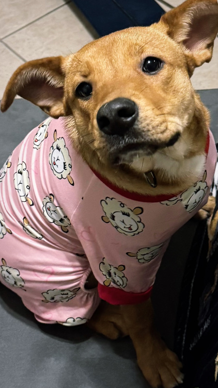 Ellie