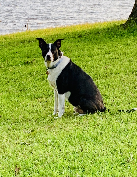 Casey