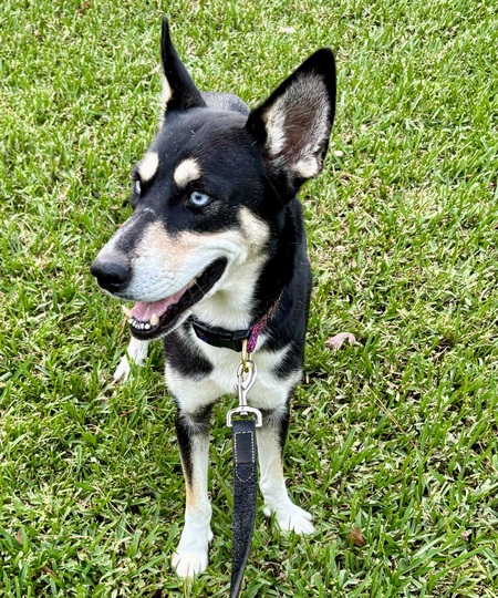Mia