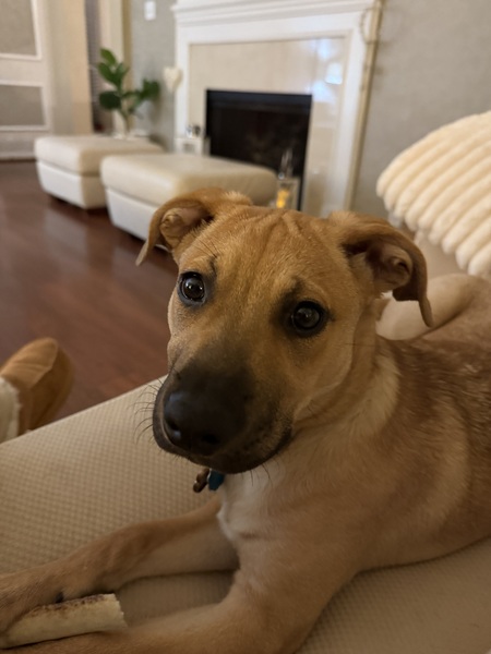 Charlie