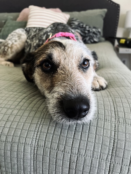 Molly