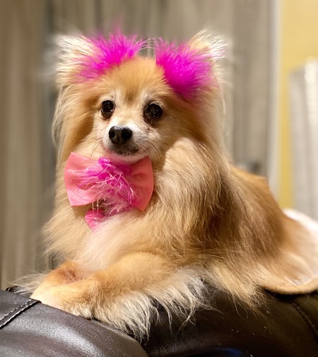 Tessa Francine aka Fancy Francine