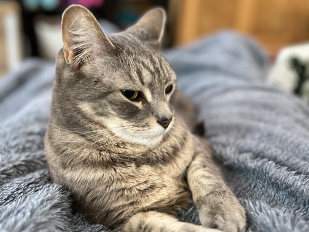 Kiki