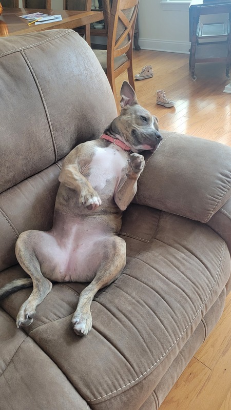 Coco 