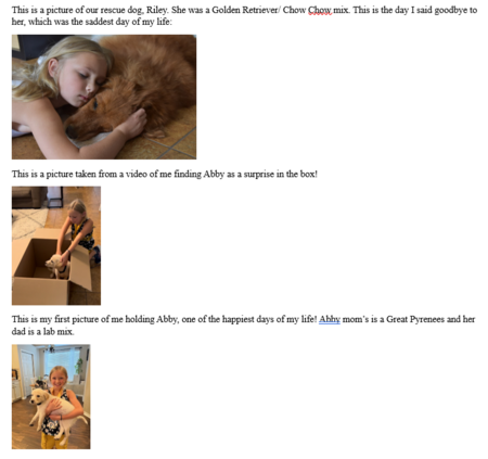 The Story of My Dog, Abby
