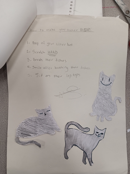 The Cat
