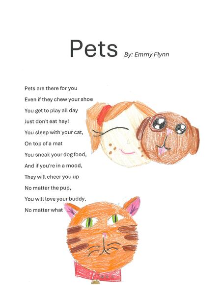 Pets