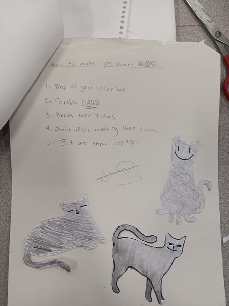 The Cat