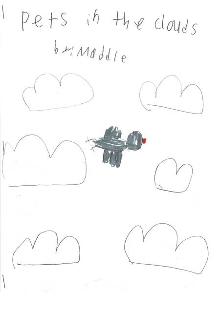 Pets in the Clouds