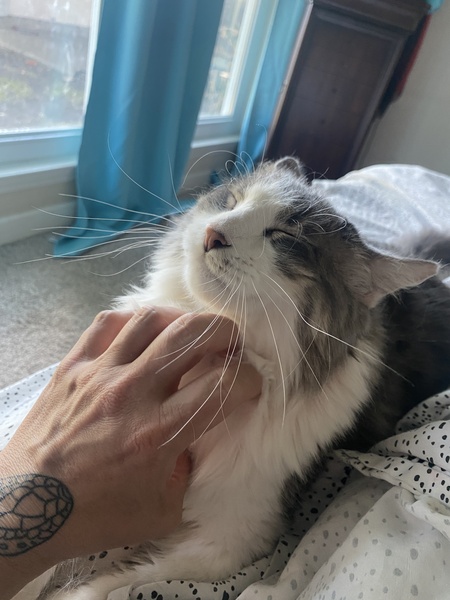 Gandalf