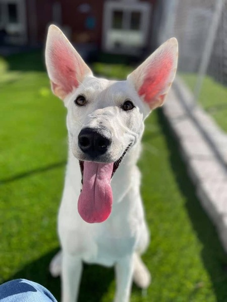 Maggie