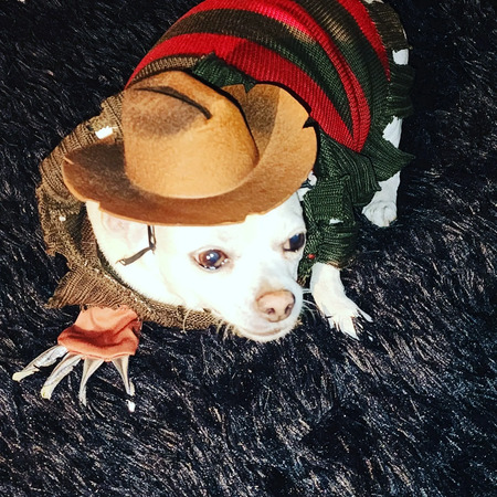 Daisy Duke