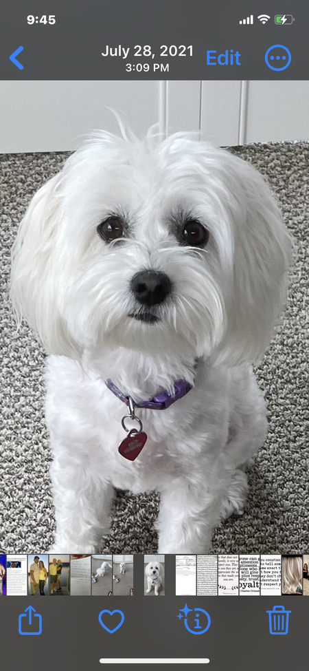 Macy