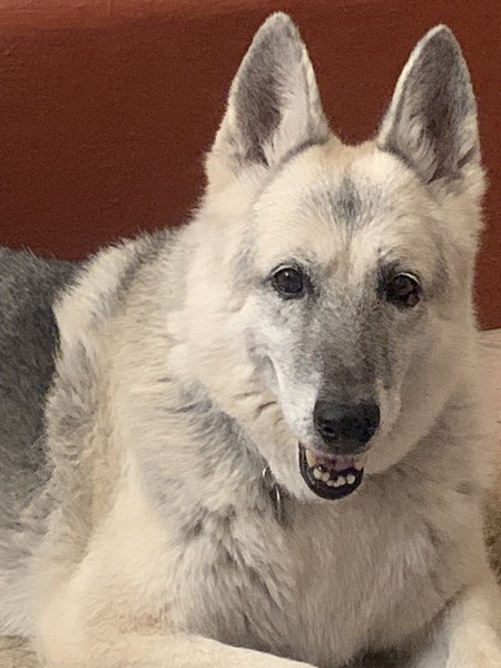 Sadie