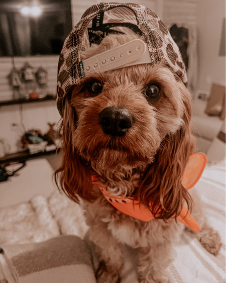 BENNY