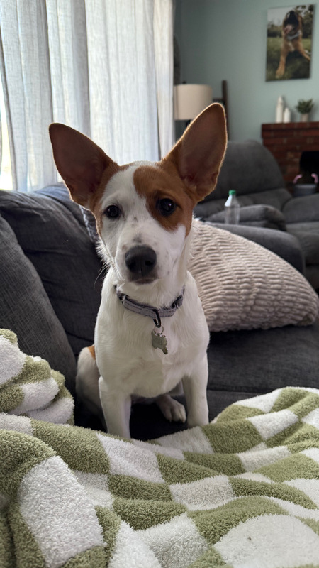 Maggie