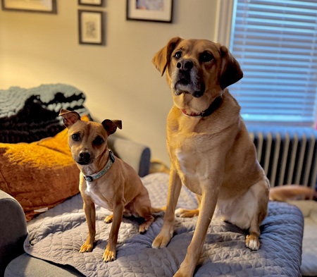 Popper & Ace