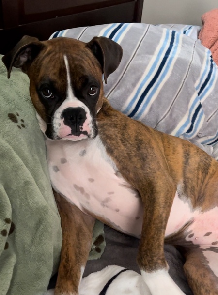 Millie