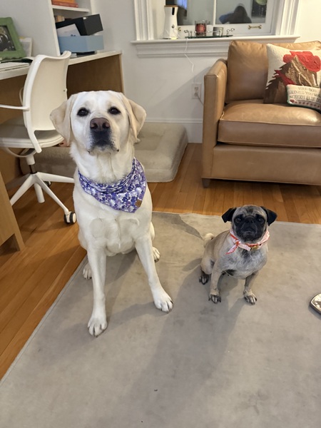 Bessie and Mo