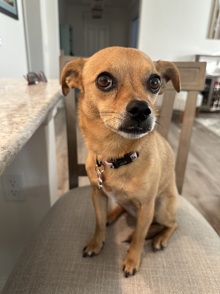 Bella