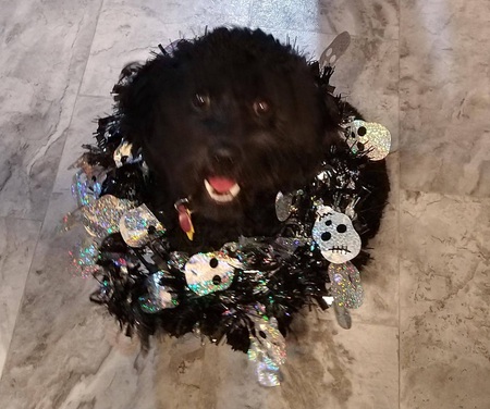 CoCo 