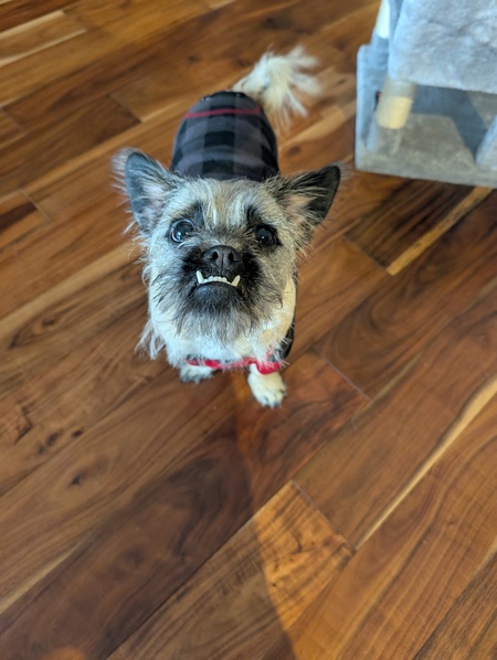Milo