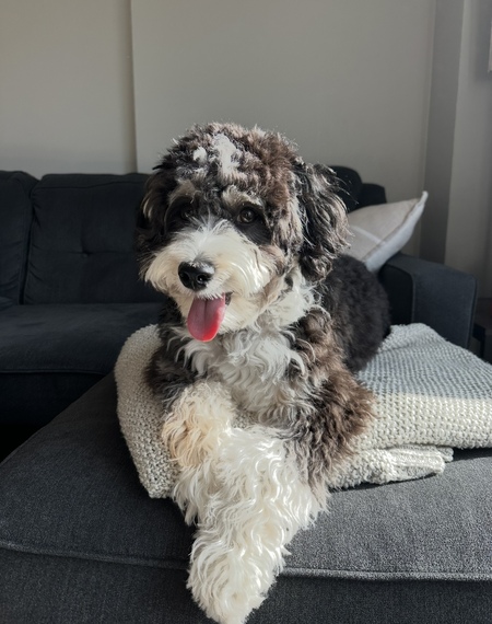 Winnie