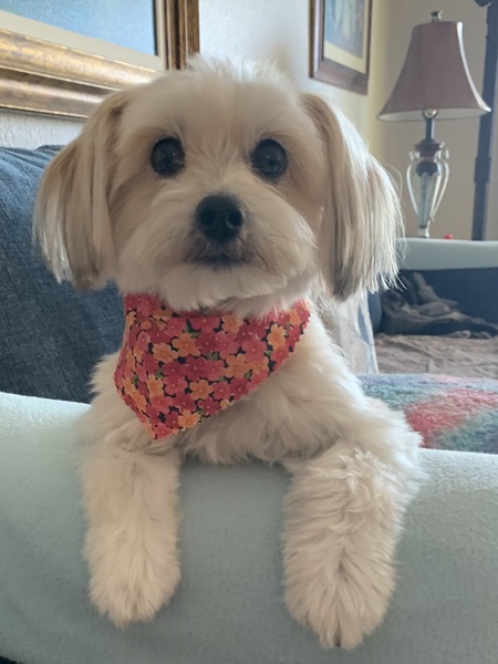 Winnie 