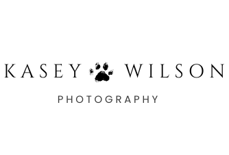 https://www.kaseywilsonphotography.com/