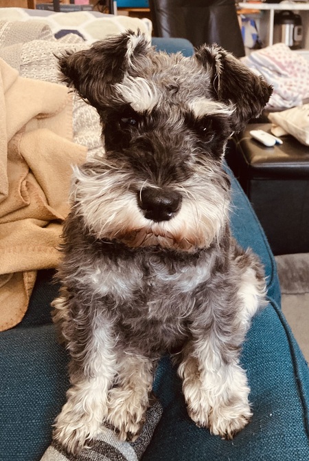 Lucie