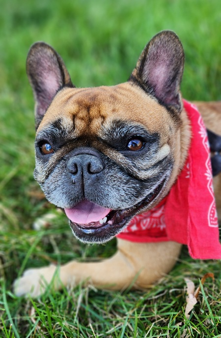 Winnie