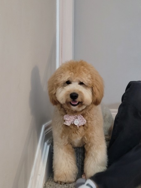 Duke