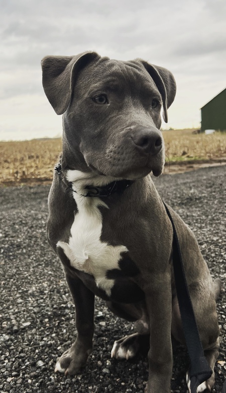 Jax